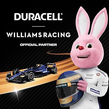 Duracell Plus AA Batteries (36 Pack) - Alkaline 1.5V - Up To 100% Extra Life - Reliability For Everyday Devices - 0% Plastic Packaging - 10 Year Storage - LR6 MN1500